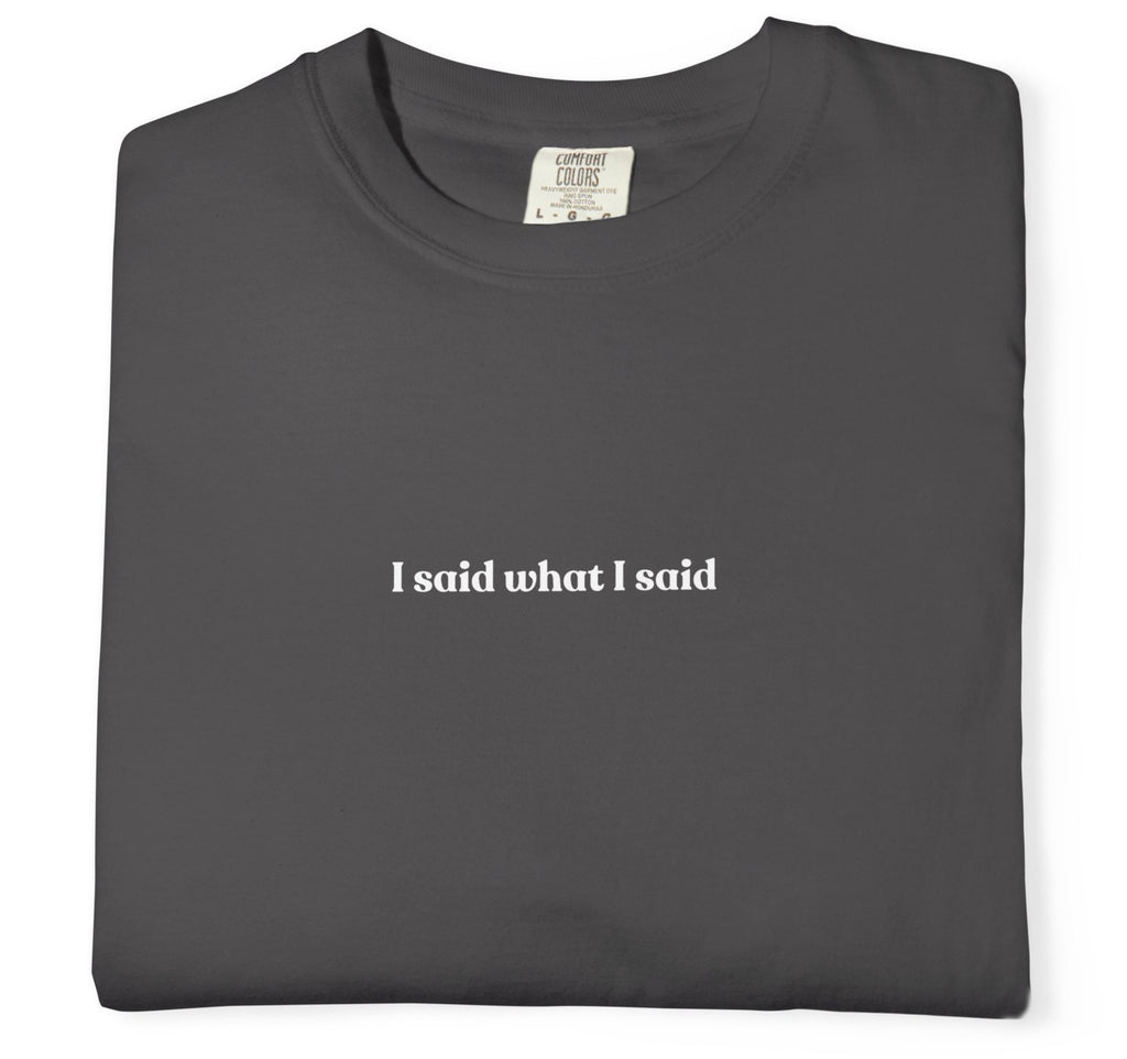 "I Said What I Said" T-Shirt